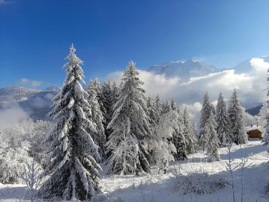 Le Cocon Du Bettex 1400 - Cozy Apt Near Mont Blanc Saint-Gervais-les-Bains Exteriör bild