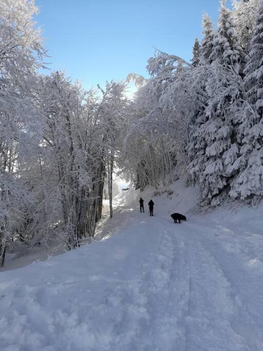 Le Cocon Du Bettex 1400 - Cozy Apt Near Mont Blanc Saint-Gervais-les-Bains Exteriör bild